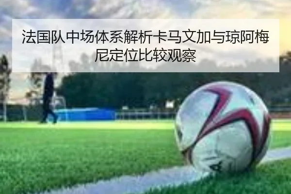法国队中场体系解析卡马文加与琼阿梅尼定位比较观察