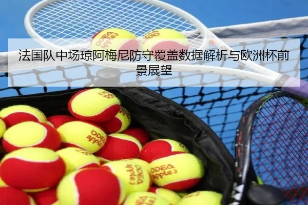 法国队中场琼阿梅尼防守覆盖数据解析与欧洲杯前景展望